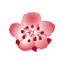 China Airlines
