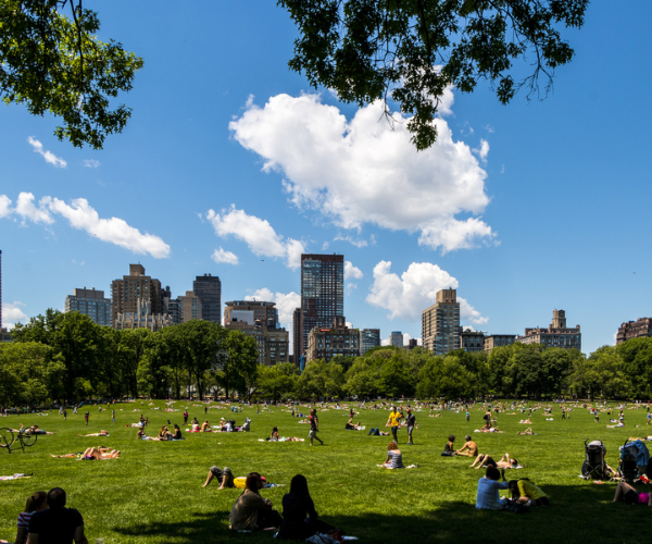 Central Park 