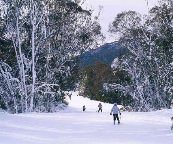 Winter 